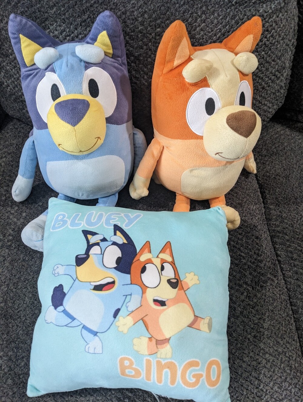 Bingo and Bluey Plushie and Pillow